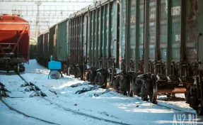 Впервые состоялась отгрузка партии льна из Кузбасса в Китай