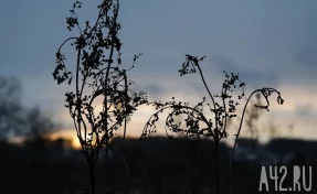 «Огромные усилия и нет результата»: «ЛизаАлерт» продолжит поиски Усольцевых