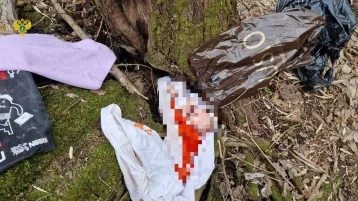 Фото: В лесопарке в Москве нашли тело новорождённой девочки 1