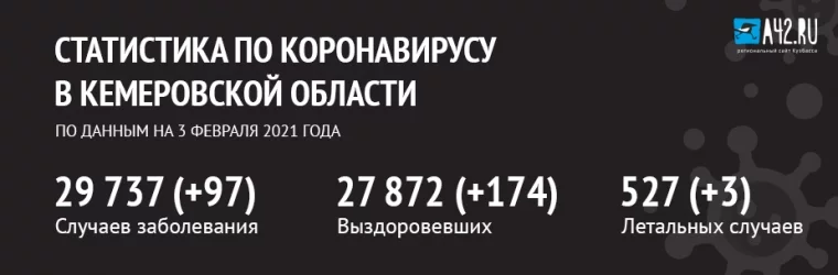 Фото: Коронавирус в Кемеровской области: актуальная информация на 3 февраля 1