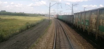 Фото: В Кузбассе грузовой поезд сбил пасущихся лошадей 1