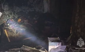 Огонь преградил путь: 7-летняя девочка погибла на пожаре в Запорожской области