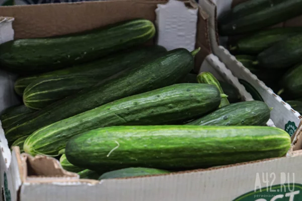 Кемеровостат: в Кузбассе цены на огурцы за неделю упали на 12,8%