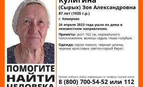 В Кемерове ищут без вести пропавшую 87-летнюю женщину