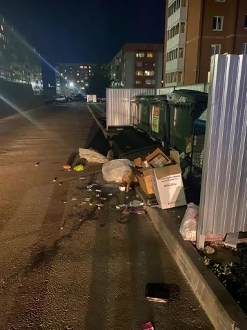 Фото: «Что за нелюбовь к родному городу?»: в Кузбассе мэра возмутил мусор около баков 1