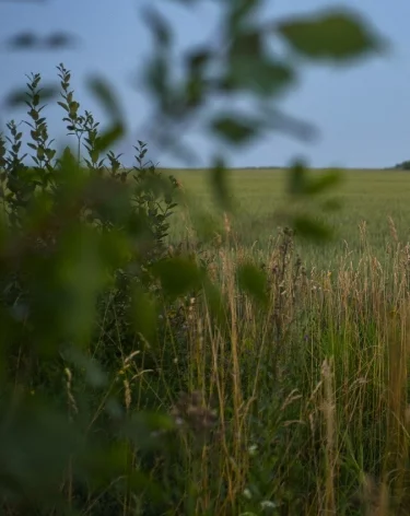 Фото: A42.RU