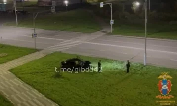 Фото: Двое жителей Междуреченска устроили фотосессию с автомобилем на газоне 1