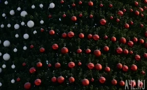 Жителям Кузбасса рассказали, как украсить новогоднюю ёлку, чтобы остаться живым