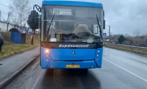 В Кузбассе отправили в колонию водителя автобуса, насмерть сбившего женщину на «зебре»