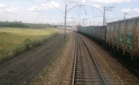 В Кузбассе грузовой поезд сбил пасущихся лошадей