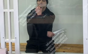 Житель Санкт-Петербурга получил 7 лет за изнасилование пенсионерки