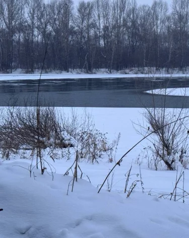 В Кузбассе утонули два мальчика 9 и 14 лет, СК возбудил дело