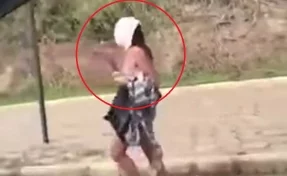 Прогулка обнажённой бразильянки с юбкой на голове попала на видео