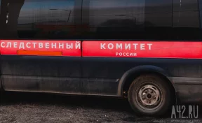 Бастрыкин затребовал доклад по уголовному делу об избиении школьницы в Кузбассе