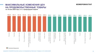 Инфографика: Кемеровостат