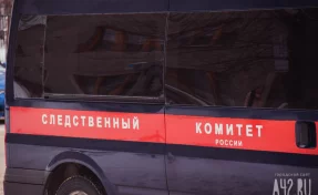 В Иркутске мать призналась в убийстве двух своих детей