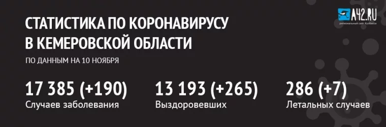 Фото: Коронавирус в Кемеровской области: актуальная информация на 10 ноября 1