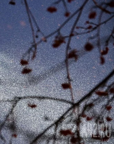 Осенние зяби: народные приметы на 26 ноября