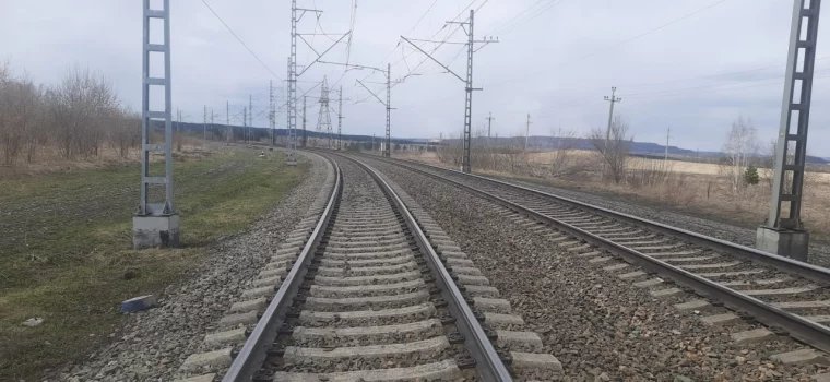 Фото: Кузбассовца привлекли к ответственности за гибель телёнка под колёсами поезда 2