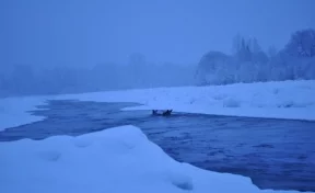 15 кузбассовцев участвовали в спасении двух тонущих в реке лосей