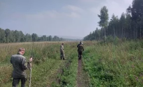 Полицейские присоединились к поискам пропавшего в лесу пенсионера в Кузбассе