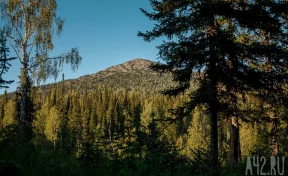 Кузбасс занял 1 место в Сибири и 3 в России в «зелёном» рейтинге развития туризма