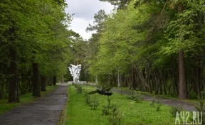 Стало известно, кто отремонтирует памятник в Сосновом бору в Кемерове за 866 тысяч рублей