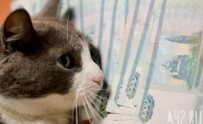 Суд в Москве запретил продажу туалетной бумаги с изображением тысячерублёвой купюры