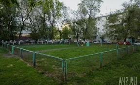 Житель Кузбасса избил собаку в Сочи