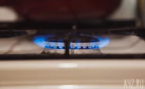 Пашинян заявил, что цены на поставляемый из России газ не могут измениться