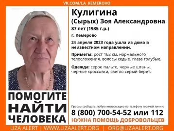 Фото: В Кемерове ищут без вести пропавшую 87-летнюю женщину 1