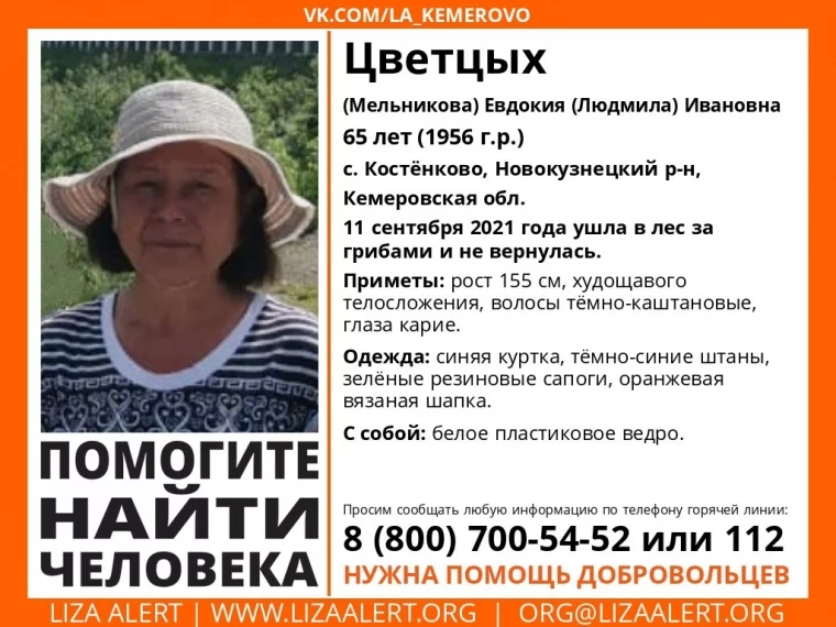 Фото: В Кузбассе женщина ушла в лес и не вернулась 2