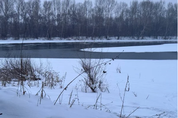 В Кузбассе утонули два мальчика 9 и 14 лет, СК возбудил дело