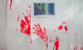 Пациент волгоградской психбольницы зарезал санитара и сбежал вместе с другом