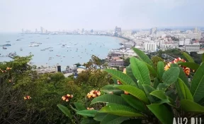 В Мьянме гражданку Белоруссии убили и продали на органы