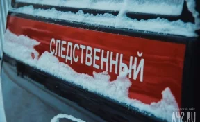 Бастрыкин поручил доложить о результатах проверки деятельности главврача из Кузбасса