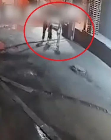 Фото, видео: <a href=https://t.me/IrinaVolk_MVD/7454>Ирина Волк</a> / Телеграм