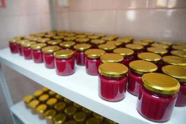 Фото: Ещё две компании из Кузбасса получили знак качества «Сделано в России» 1