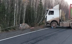 На трассе под Иркутском медведь стал причиной массового ДТП