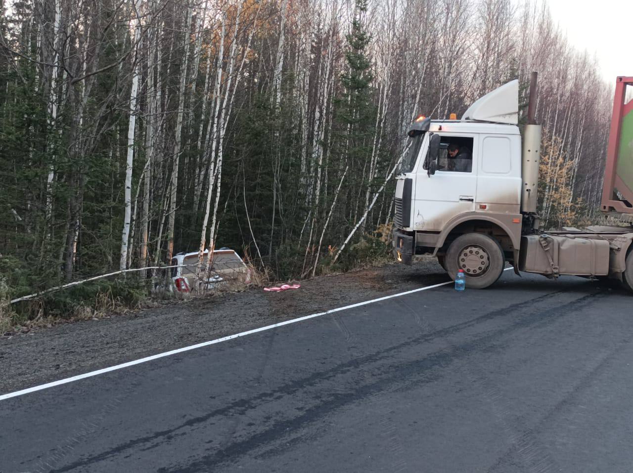 На трассе под Иркутском медведь стал причиной массового ДТП