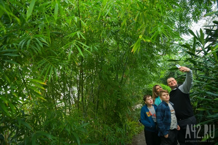 Фото: Большая наука, дендрарий и экокафе: как изменится кемеровский ботанический сад  1