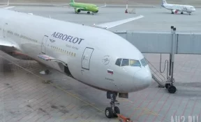 Летевшая из Египта россиянка вытолкнула стюардессу из самолёта из-за просьбы пристегнуть ребёнка 
