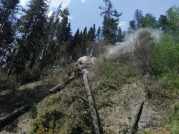 Фото: «Обнаружены множественные очаговые тления»: власти Междуреченска рассказали о текущей ситуации в горящем лесу 1