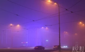 Роспотребнадзор назвал загрязняющие вещества, обнаруженные в смоге в Кемерове