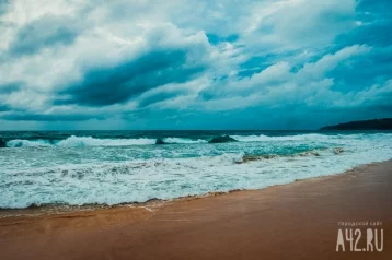 Фото: Учёные предупредили о смертельной опасности пляжей 1