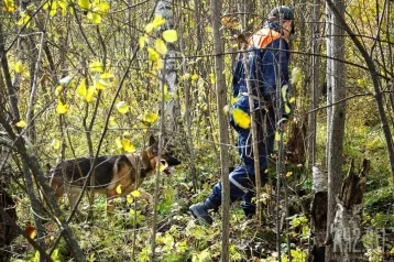 Фото: В российском регионе родители пропавшего два месяца назад мальчика опознали его тело 1