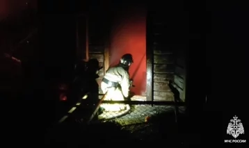 Фото: МЧС: После пожара в Новосибирском зоопарке погибли 5 животных, более 20 спасены 1