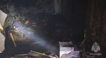 Фото: Огонь преградил путь: 7-летняя девочка погибла на пожаре в Запорожской области 1