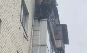 В Орле сотрудники МЧС спасли девочку, которая сидела одна на балконе