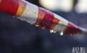 В Вашингтоне мужчина устроил резню возле дома: полиция сообщила о пяти погибших